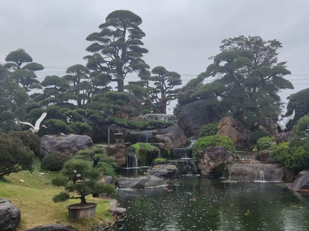 从石头到风景 长沙塑石假山与水系喷泉如何重塑城市灵气
